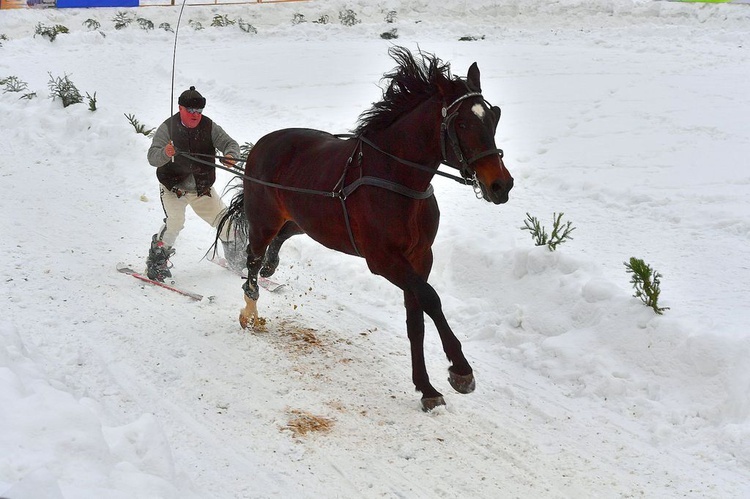 Góralskie wyścigi na śniegu