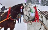 Góralskie wyścigi na śniegu