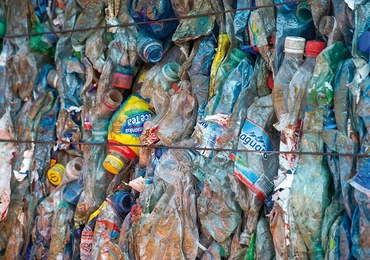 Plastik z bakterii…