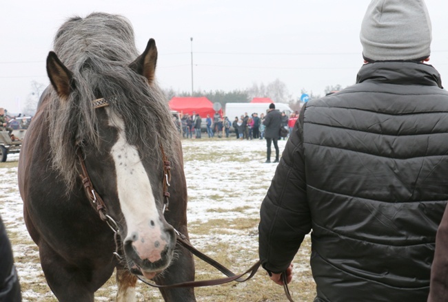 "Wstępy 2018" w Skaryszewie