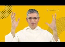 Powstanie powalonych drzew