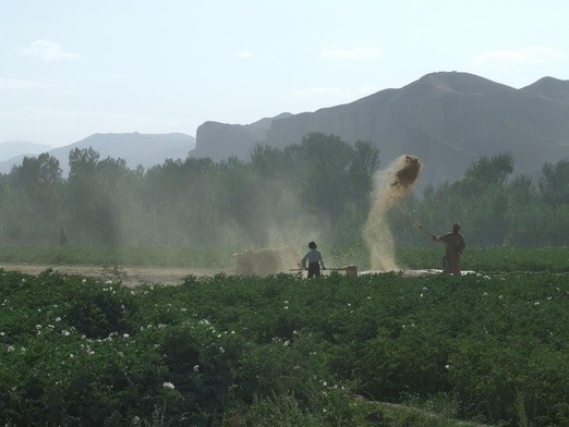 Afganistan też modlił się o pokój