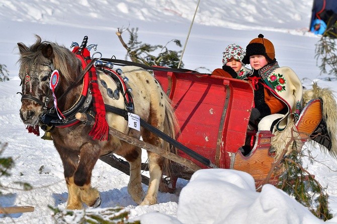 Parada Gazdowska i wyścigi kumoterek