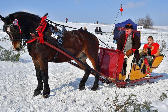 Parada Gazdowska i wyścigi kumoterek