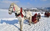 Parada Gazdowska i wyścigi kumoterek