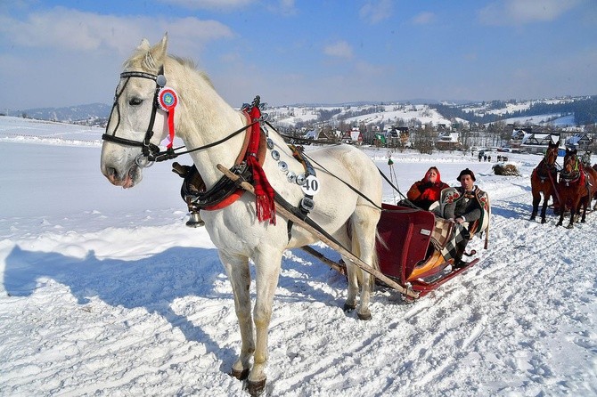 Parada Gazdowska i wyścigi kumoterek