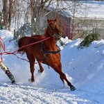 Parada Gazdowska i wyścigi kumoterek