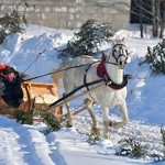 Parada Gazdowska i wyścigi kumoterek