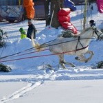 Parada Gazdowska i wyścigi kumoterek