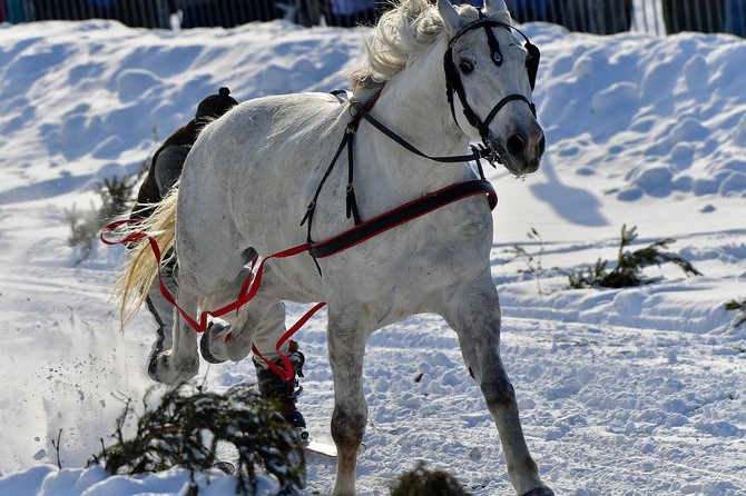 Parada Gazdowska i wyścigi kumoterek