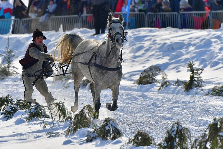 Parada Gazdowska i wyścigi kumoterek