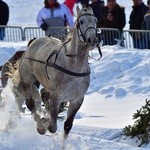 Parada Gazdowska i wyścigi kumoterek