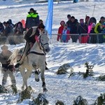 Parada Gazdowska i wyścigi kumoterek