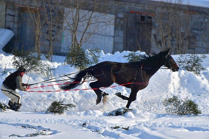 Parada Gazdowska i wyścigi kumoterek