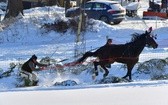 Parada Gazdowska i wyścigi kumoterek