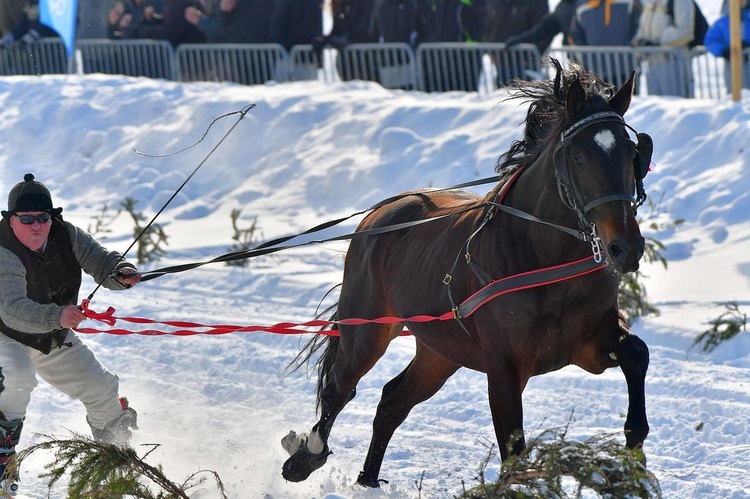 Parada Gazdowska i wyścigi kumoterek