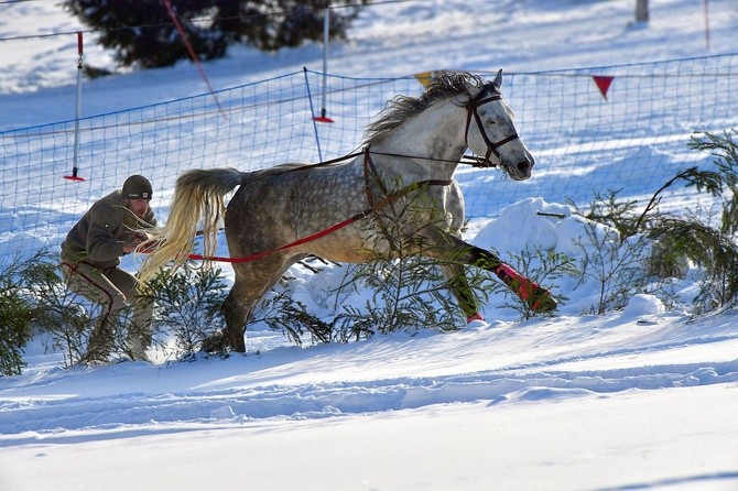 Parada Gazdowska i wyścigi kumoterek