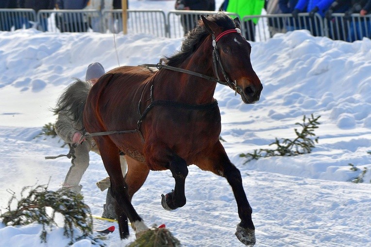 Parada Gazdowska i wyścigi kumoterek