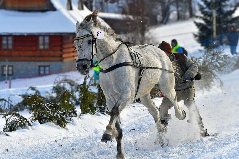 Parada Gazdowska i wyścigi kumoterek