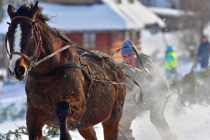 Parada Gazdowska i wyścigi kumoterek