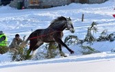 Parada Gazdowska i wyścigi kumoterek