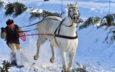 Parada Gazdowska i wyścigi kumoterek