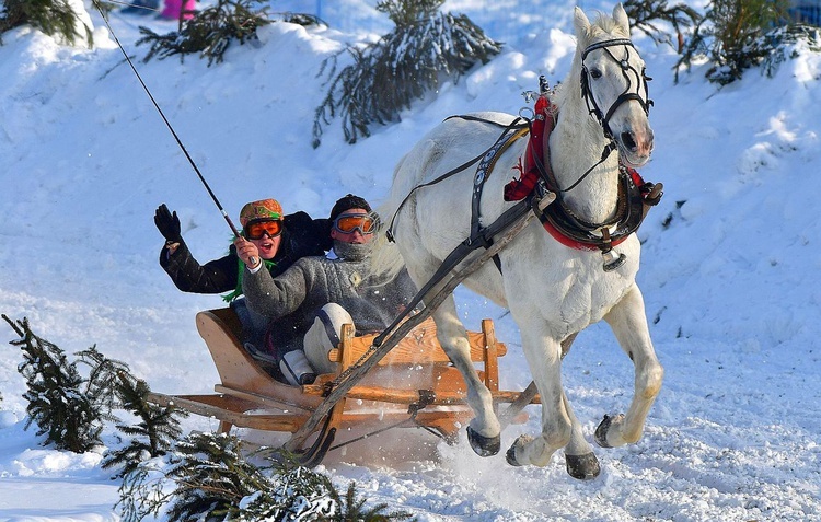 Parada Gazdowska i wyścigi kumoterek