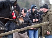 Bicie dłonią kupującego o dłoń sprzedającego, z równoczesnym podawaniem kwot, to stary zwyczaj targowania się o cenę zwierzęcia.