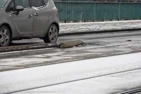 Kolizja limuzyny prezydenta Dudy