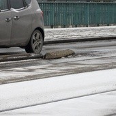 Kolizja limuzyny prezydenta Dudy