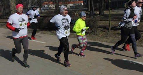 Legnickie Wilcze Tropy