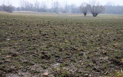 Przezorny nie zawsze ubezpieczony