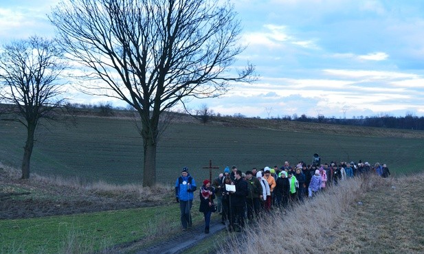 Camino z Franciszkiem