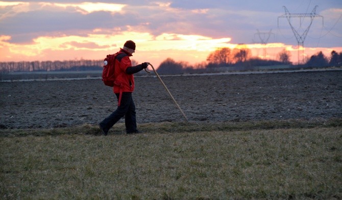 Camino z Franciszkiem