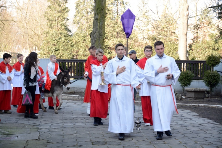 Opole-Szczepanowice: Procesja w Niedzielę Palmową