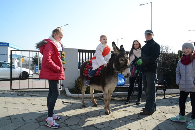 Opole-Szczepanowice: Procesja w Niedzielę Palmową