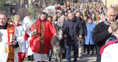 Niedziela z osiołkiem