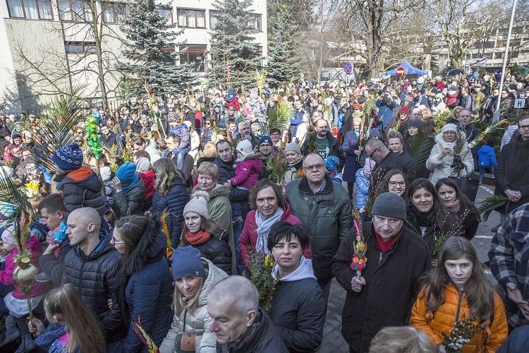 Niedziela Palmowa w Bielańskim Lesie