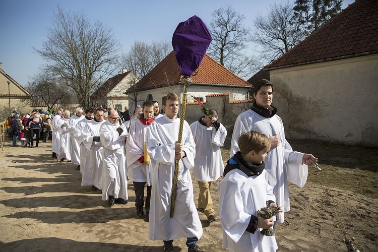 Niedziela Palmowa w Bielańskim Lesie