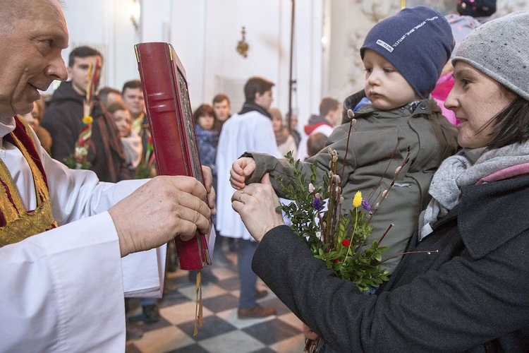 Niedziela Palmowa w Bielańskim Lesie