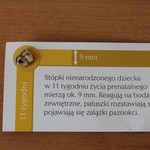 33. Światowy Dzień Młodzieży - cz. 2