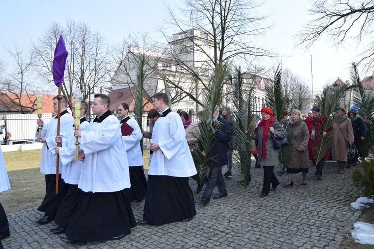 Niedziela Palmowa w Łowiczu