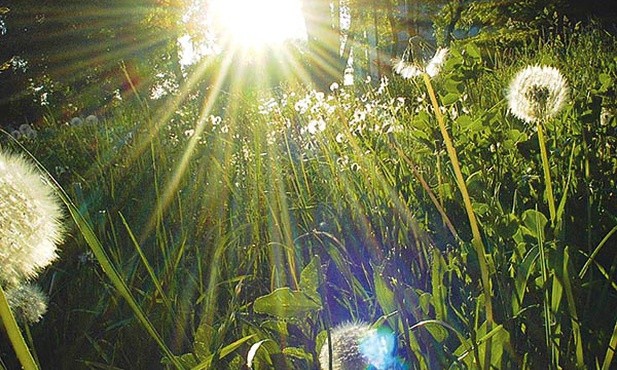 – W Niedzielę Zmartwychwstania czuję nadzieję, pełnię, promienie słońca – mówi Ania. 