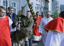 Osiołek prosto z... Ewangelii 