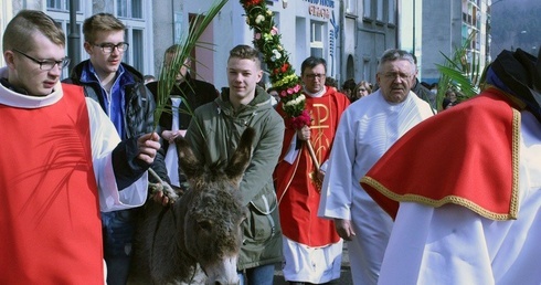 Osiołek prosto z... Ewangelii 