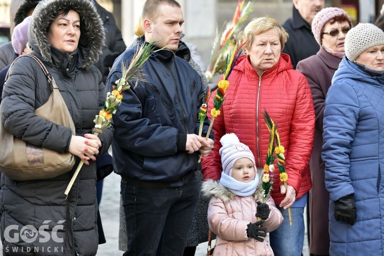 Niedziela Palmowa z rocznicą powstania diecezji.