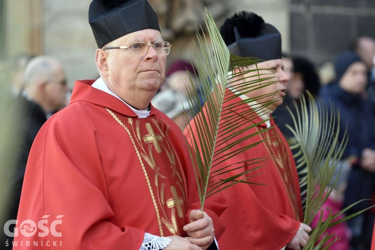 Niedziela Palmowa z rocznicą powstania diecezji.