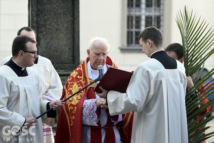 Niedziela Palmowa z rocznicą powstania diecezji.