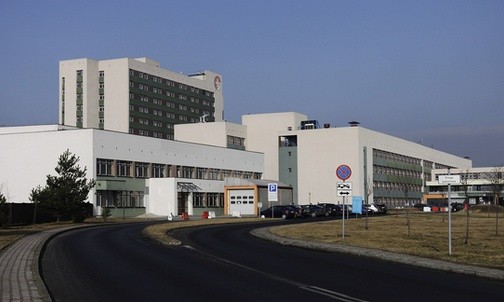 Świńska grypa w Rybniku