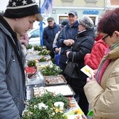 Wielkanocnie na opolskim rynku